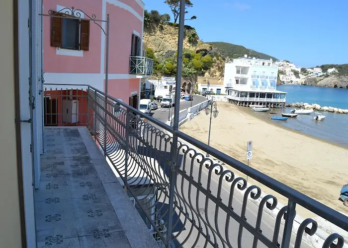 Maridea - Il Delfino