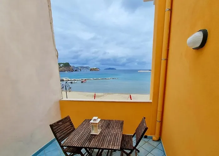 Maridea - Il Delfino